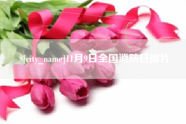 公主岭11月9日全国消防日图片