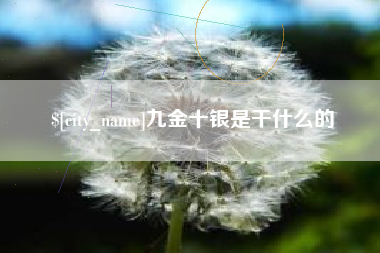 公主岭九金十银是干什么的