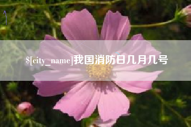 公主岭我国消防日几月几号