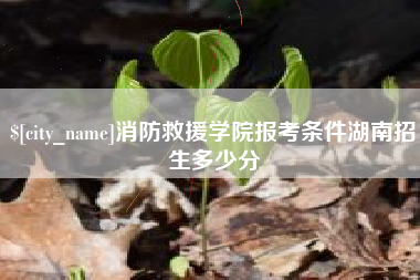 公主岭消防救援学院报考条件湖南招生多少分