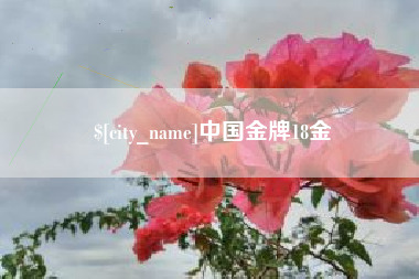 公主岭中国金牌18金