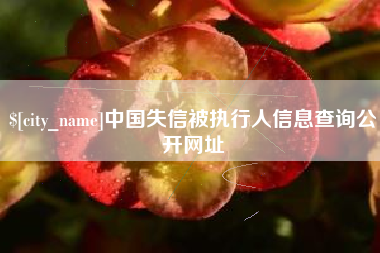 公主岭中国失信被执行人信息查询公开网址