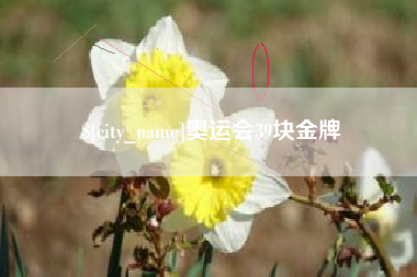 公主岭奥运会39块金牌