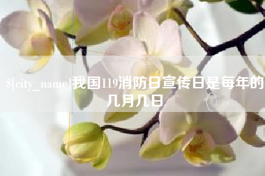 公主岭我国119消防日宣传日是每年的几月几日