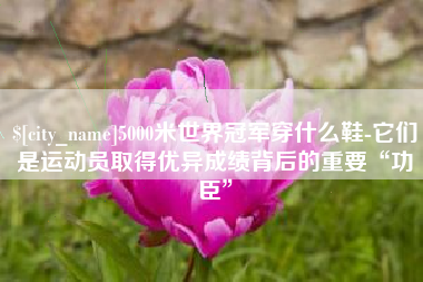 公主岭5000米世界冠军穿什么鞋-它们是运动员取得优异成绩背后的重要“功臣”
