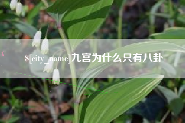公主岭九宫为什么只有八卦