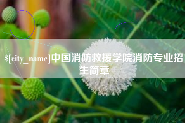 公主岭中国消防救援学院消防专业招生简章 公主岭中国消防救援学院消防专业招生简章