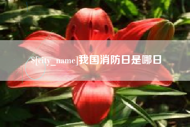 公主岭我国消防日是哪日