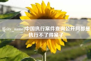 公主岭中国执行案件查询公开网都是执行不了得案子