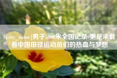 公主岭男子5000米全国记录-更是承载着中国田径运动员们的热血与梦想