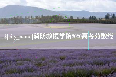 公主岭消防救援学院2020高考分数线