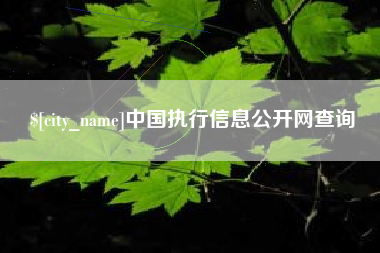 公主岭中国执行信息公开网查询