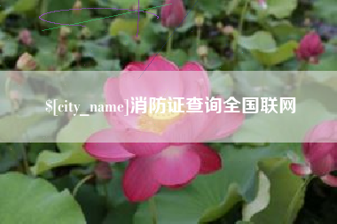 公主岭消防证查询全国联网