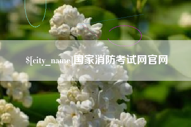 公主岭国家消防考试网官网