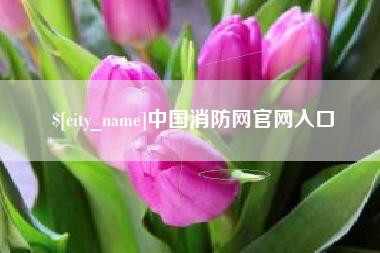 公主岭中国消防网官网入口