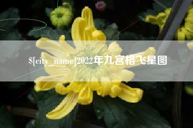 公主岭2022年九宫格飞星图