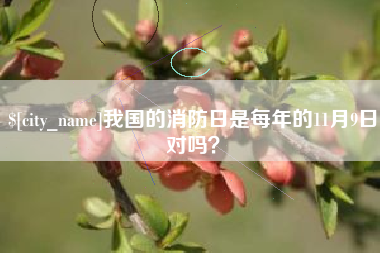 公主岭我国的消防日是每年的11月9日对吗？