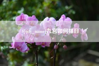 公主岭九宫如何排日