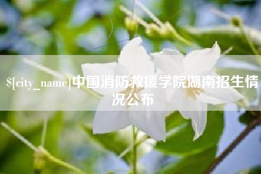 公主岭中国消防救援学院湖南招生情况公布