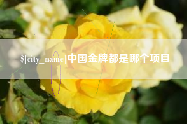 公主岭中国金牌都是哪个项目