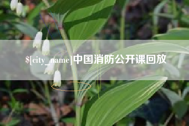 公主岭中国消防公开课回放
