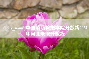 公主岭中国消防救援学院分数线2023年河北录取分数线
