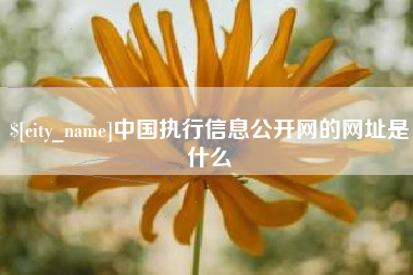 公主岭中国执行信息公开网的网址是什么