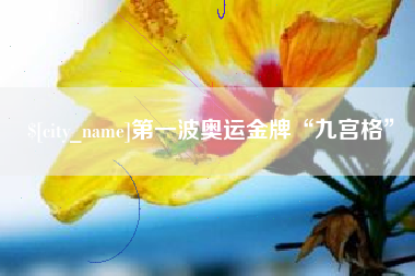 公主岭第一波奥运金牌“九宫格”