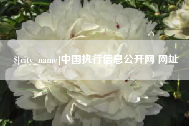 公主岭中国执行信息公开网 网址