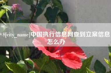 公主岭中国执行信息网查到立案信息怎么办