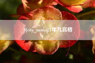 公主岭21年九宫格