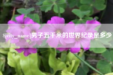 公主岭男子五千米的世界纪录是多少