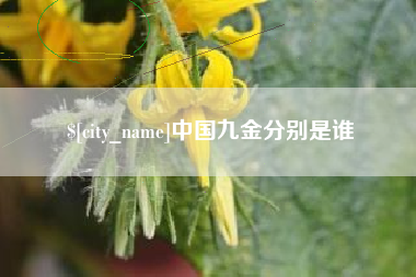 公主岭中国九金分别是谁
