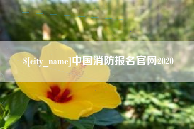 公主岭中国消防报名官网2020
