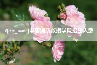 公主岭中国消防救援学院招生人数