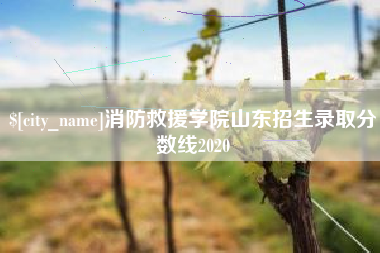 公主岭消防救援学院山东招生录取分数线2020