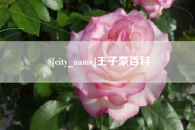 公主岭王子豪百科