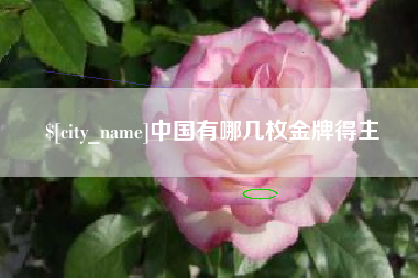 公主岭中国有哪几枚金牌得主