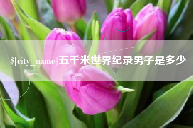 公主岭五千米世界纪录男子是多少