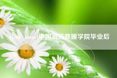 公主岭中国消防救援学院毕业后
