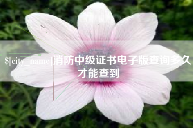 公主岭消防中级证书电子版查询多久才能查到