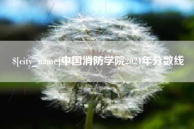 公主岭中国消防学院2024年分数线