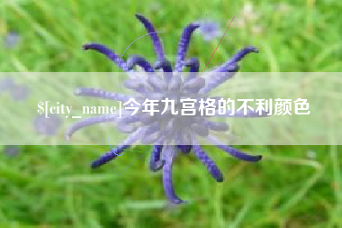 公主岭今年九宫格的不利颜色