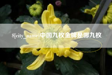 公主岭中国九枚金牌是哪九枚