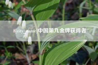 公主岭中国第九金牌获得者 公主岭中国第九金牌获得者