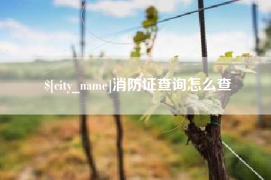公主岭消防证查询怎么查