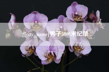 公主岭男子5000米纪录