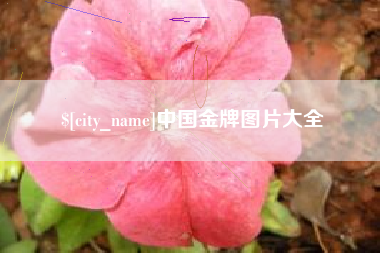 公主岭中国金牌图片大全