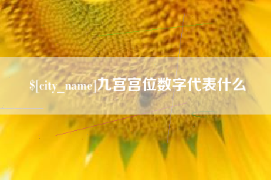 公主岭九宫宫位数字代表什么