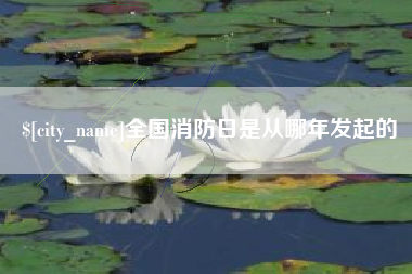 公主岭全国消防日是从哪年发起的